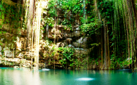 Tulum &  Cenotes